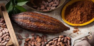 Paris : Industrie cacaoyère / L’appel de détresse des transformateurs et exportateurs aux chocolatiers