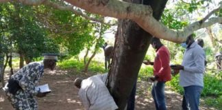 Insolite : Chute des débris d’une fusée / Ce que la Chine propose à la Côte d’Ivoire