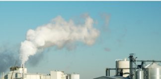 Bouaflé : Lutte contre la pauvreté / unité de transformation de MaÏs abandonné dans la broussaille