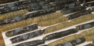 Côte d’Ivoire: Plus d’une tonne de cocaïne évaluée à plus de 25 milliards de francs FCFA saisie par la gendarmerie à Abidjan