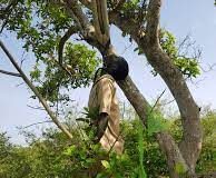 Côte d’Ivoire : Examen de BEPC à Gohitafla/ Mort par pendaison d’un élève Gohitafla