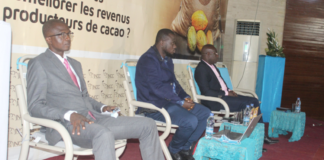 Côte d’Ivoire: Journée d’hommage et de distinction aux acteurs du monde agricole/ La transformation locale du cacao et les nouvelles techniques culturales face au changement climatique au centre des échanges