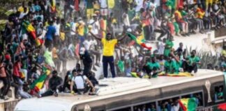 Victoire et accueil des Lions du Sénégal/ Le célébration vire au drame