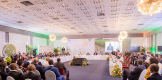 Côte d’Ivoire : COP15 / Un bilan à mi-parcours entre inquiétudes et promesses de financements