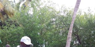 Côte d’Ivoire/ ’’Opération de restauration des mangroves’’ à Grand Bassam – le président du ROTARY Club Océan, OUATTARA Alhassan catégorique : ‘’il faut agir, car l’heure est grave’’