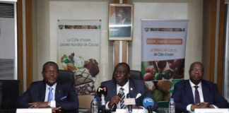 Côte d’Ivoire : Campagne agricole / Le prix du cacao à 900 FCFA/KG prorogé jusqu’en septembre