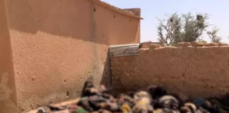 Burkina Faso : massacre de 150 villageois dans le Nord/ la société civile accuse l’armée