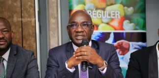 Agriculture/ Le DG du conseil du coton et de l’anacarde plaide pour un financement plus accru pour le secteur anacarde