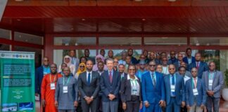 Mine et énergie en Afrique/ L’électricité et de stockage par batteries au centre d’une rencontre de la CEDEAO à Abuja, au Nigeria