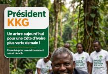 Côte d’Ivoire : Crise dans la filière Bois / » Action Nationale des Professionnels du Bois en Côte d’Ivoire » s’engage pour un reboisement accru.