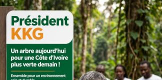 Côte d’Ivoire : Crise dans la filière Bois / » Action Nationale des Professionnels du Bois en Côte d’Ivoire » s’engage pour un reboisement accru.