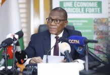 Côte d’Ivoire : Filière mangue/Le gouvernement débloque 3,5 milliards FCFA pour la campagne 2027