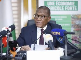 Côte d’Ivoire : Filière mangue/Le gouvernement débloque 3,5 milliards FCFA pour la campagne 2027