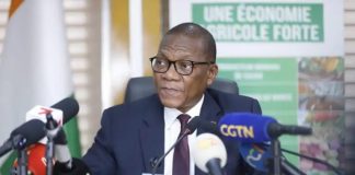 Côte d’Ivoire : Filière mangue/Le gouvernement débloque 3,5 milliards FCFA pour la campagne 2027
